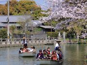 大東エンタープライズの写真2