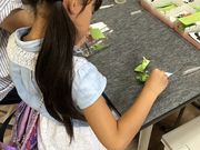 なすのすなの写真4