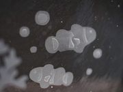 See The Seaの写真4