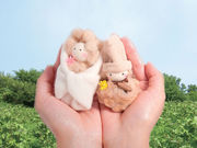 NPO法人 ザ・ピープルの写真4