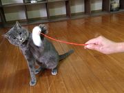 陶房 立神峡の写真2
