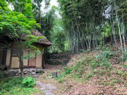 ねこぽぽテラスの写真4