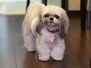 むーすの写真4
