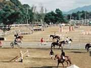 KRC乗馬センターの写真3