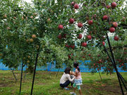 広島の自然歴史体験 センス・オブ・ワンダー広島の写真3