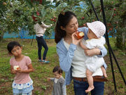 広島の自然歴史体験 センス・オブ・ワンダー広島の写真4