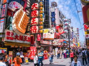 大阪の自然歴史体験 センス・オブ・ワンダー大阪の写真2