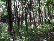 高知フロンティアベースの写真4