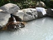 越生温泉 美白の湯 温泉宿 ニューサンピア埼玉おごせの写真3