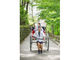 人力車のきらく屋の写真4