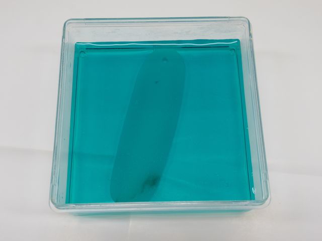 削った石に好きな色付けをする_金津まちなかガイド
