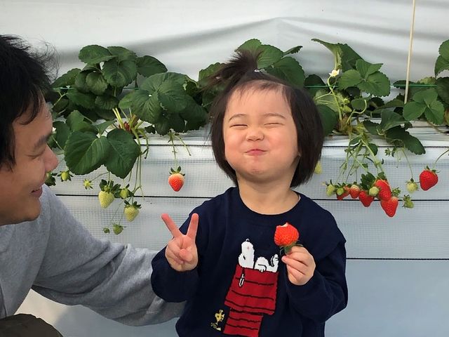 ニコニコ(⌒∇⌒)_暁いちご農園