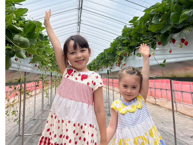 奥日光の新たな楽しみ方の一つに。是非ご家族揃ってお越しください!!_Mt.Berry 奥日光