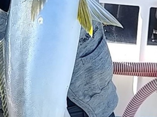 Fishing大清丸