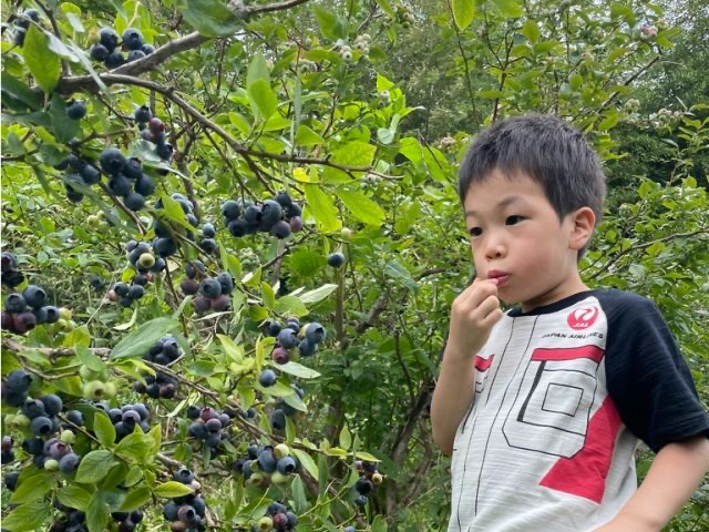 JAL Agriport