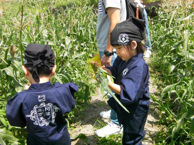阿波ノ北方農園