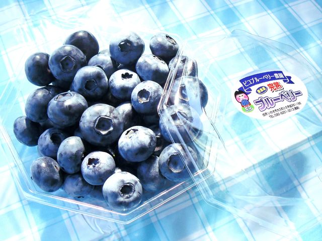 冷凍販売もございます。_ピコブルーベリー農園