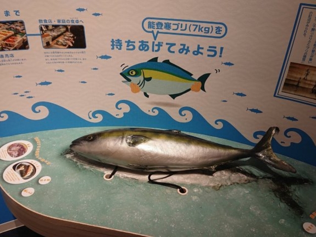 のと里山里海ミュージアム