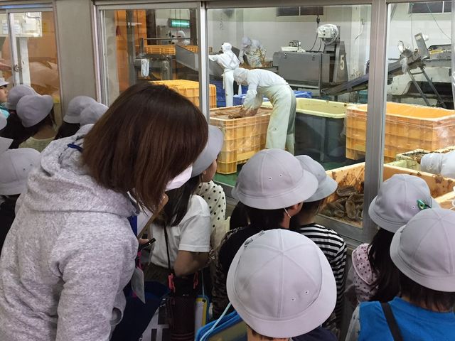 無料で職人の漬け込み作業風景を窓越しに見学できます。_守口漬体験工房 漬処壽俵屋 扶桑総本家