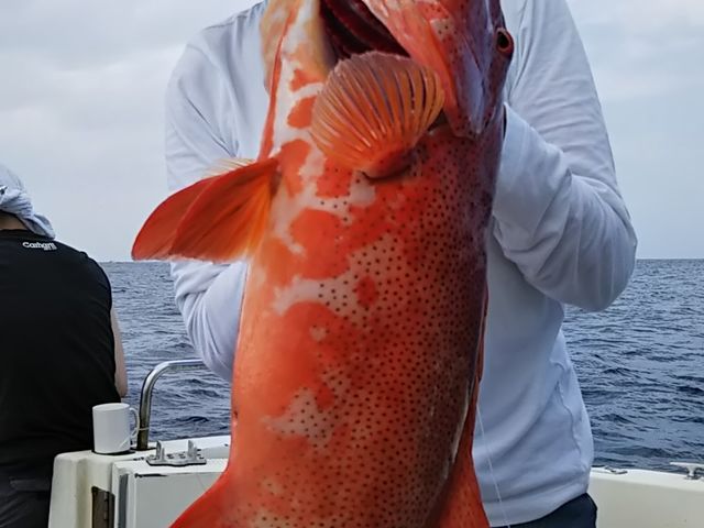 カナハフィッシング沖縄