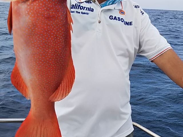 カナハフィッシング沖縄