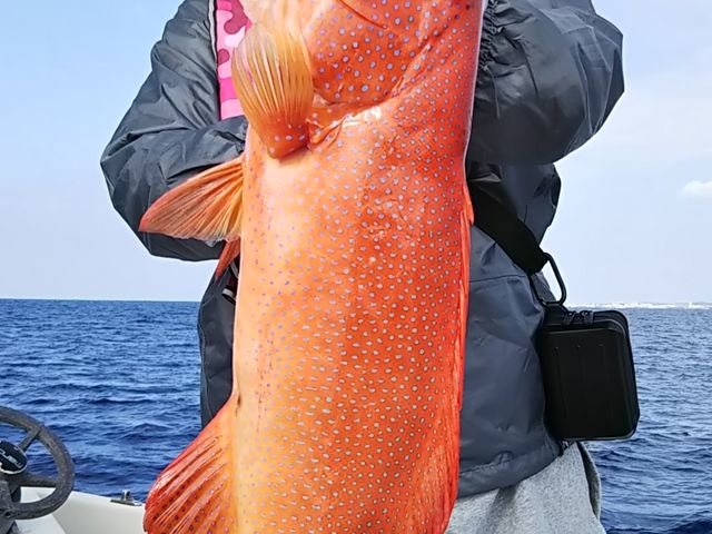 カナハフィッシング沖縄