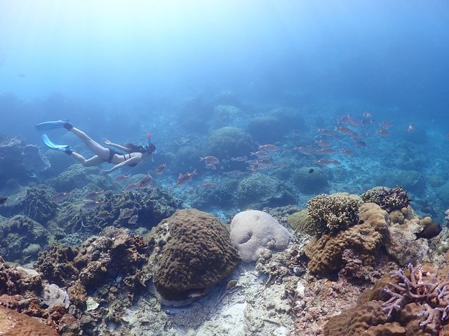 BalloonFish宮古島