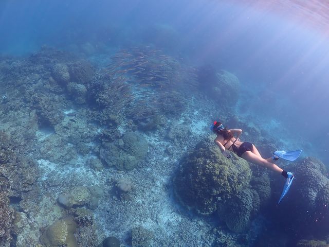 手軽に水中世界を楽しもう。_BalloonFish宮古島