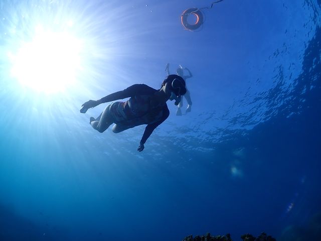 BalloonFish宮古島