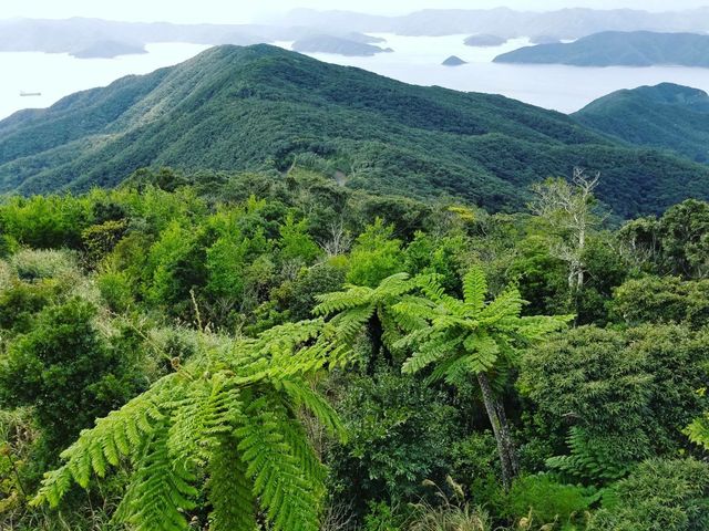 見とれてしまう、絶景ポイントの数々。_アドベンチャー奄美