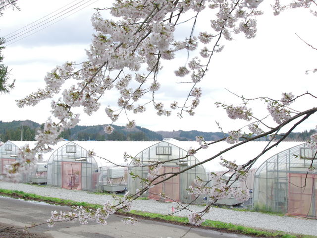 秋田農販
