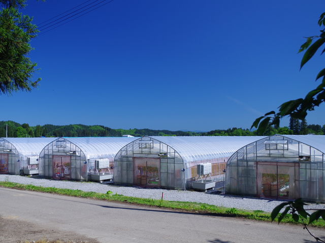 秋田農販
