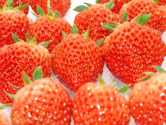 秋田農販