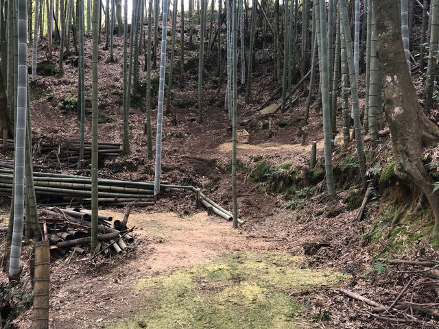 竹の子園初心者コース_たかしま農園