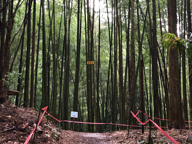 竹の子園の入口付近_たかしま農園