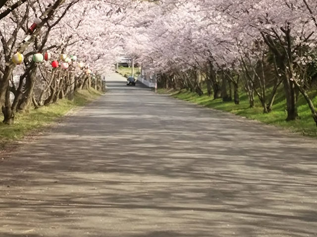 あらた坂
