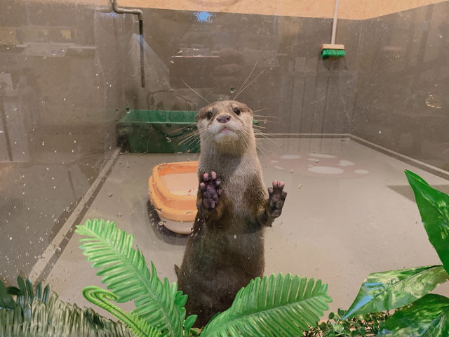 ふれあい動物園モンスターフォレスト