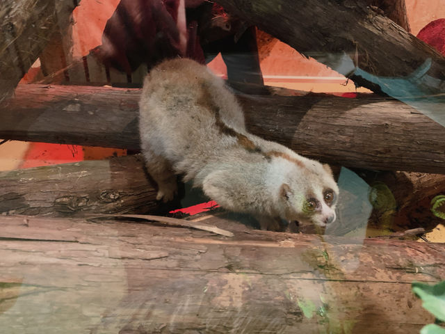 ふれあい動物園モンスターフォレスト