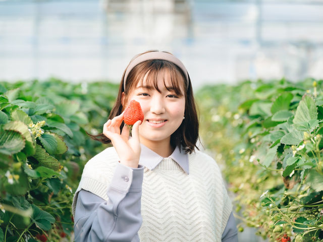 原田いちごファーム