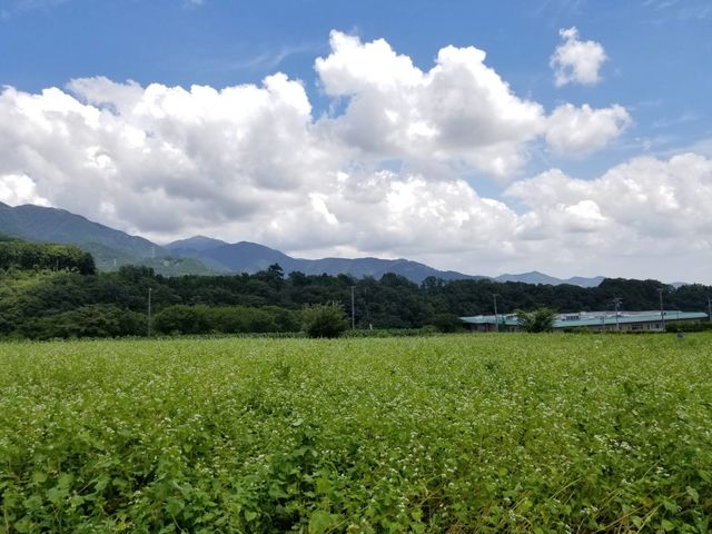 製造元直売所 手打ち十割そば処 丹沢そば本店