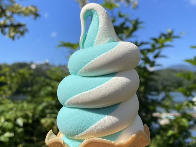 当店名物の一碧湖ソフト♪塩バニラとミルクのミックスです!
_TERRACE CAFE IPPEKIKO