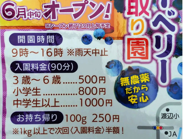 かぐらばの里ブルーベリー園