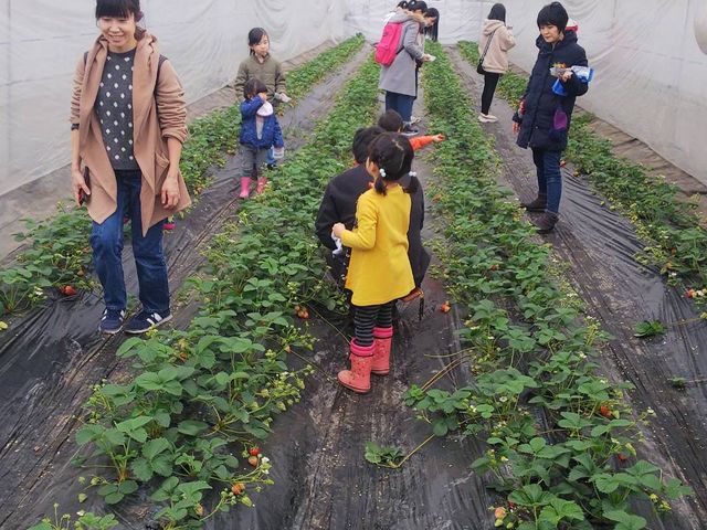 しらい農園