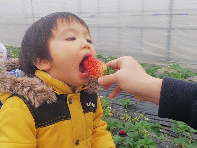 しらい農園