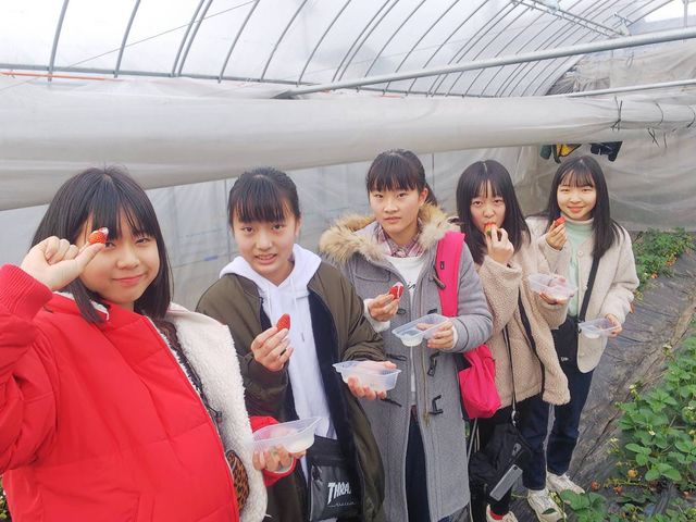 しらい農園