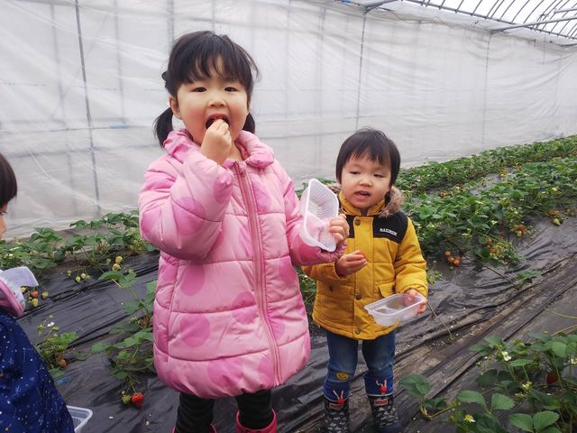しらい農園