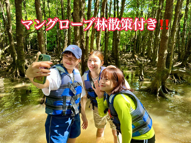他にはあまりない探索付きのカヌー体験!
_石垣島 海ツアー