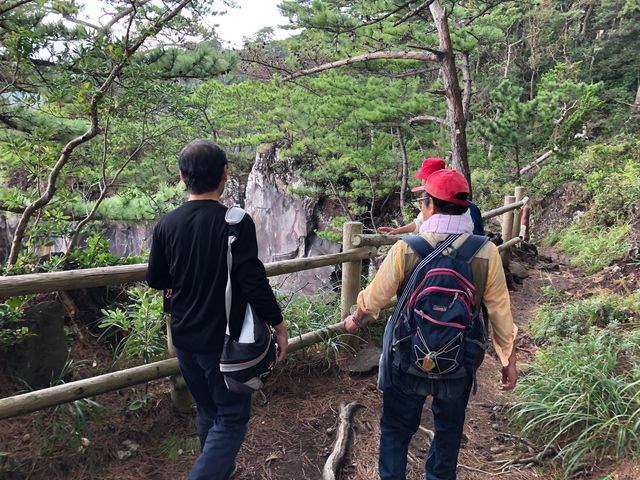 対島川遊歩道を歩く_伊東自然歴史案内人会(城ケ崎大室山部会)