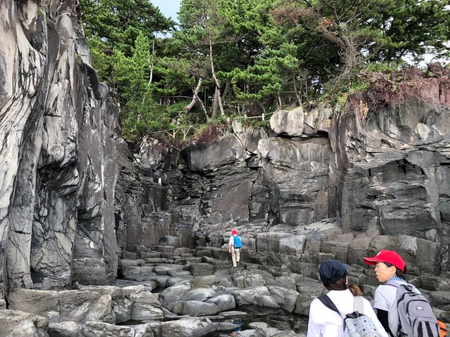 大淀・小淀への降り口_伊東自然歴史案内人会(城ケ崎大室山部会)