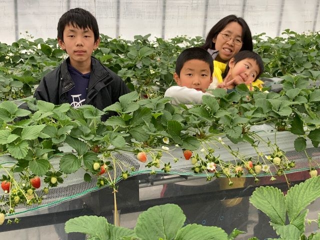木村農園 牧ケ野いちごハウス